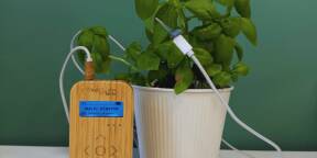 BAMBOO – Musique des plantes – contrôleur MIDI expérimental – état neuf