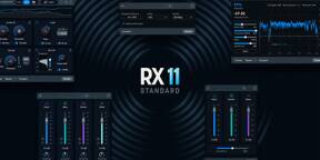 Vends License Izotope RX 11 Standard: Prix de vente 200€ (Prix neuf 280€)