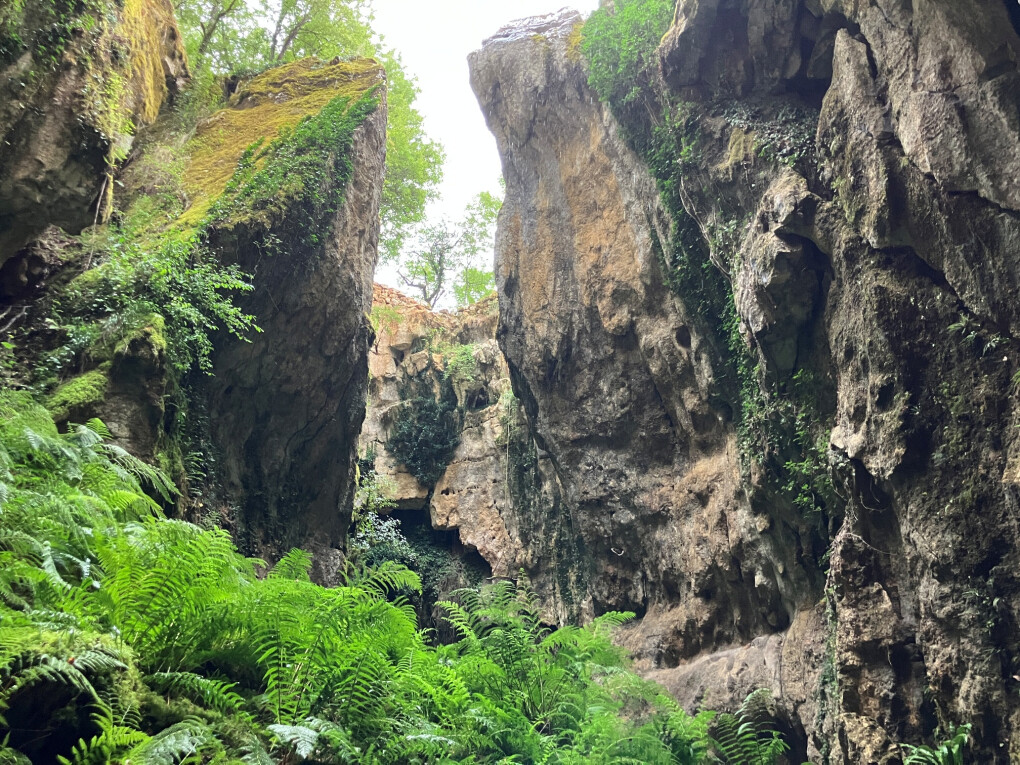 6707866.jpg 6707866.jpg