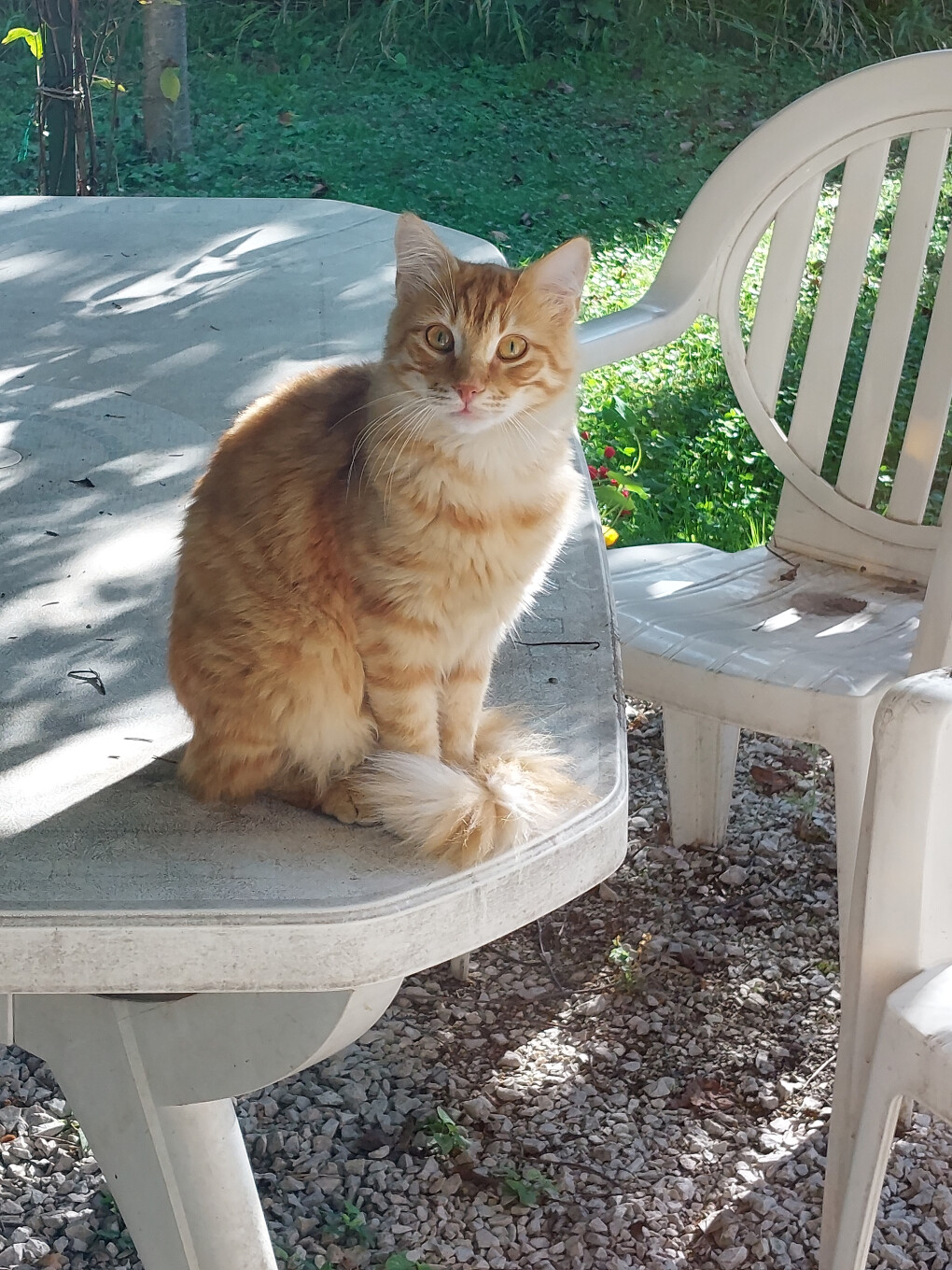 6708047.jpg 6708047.jpg