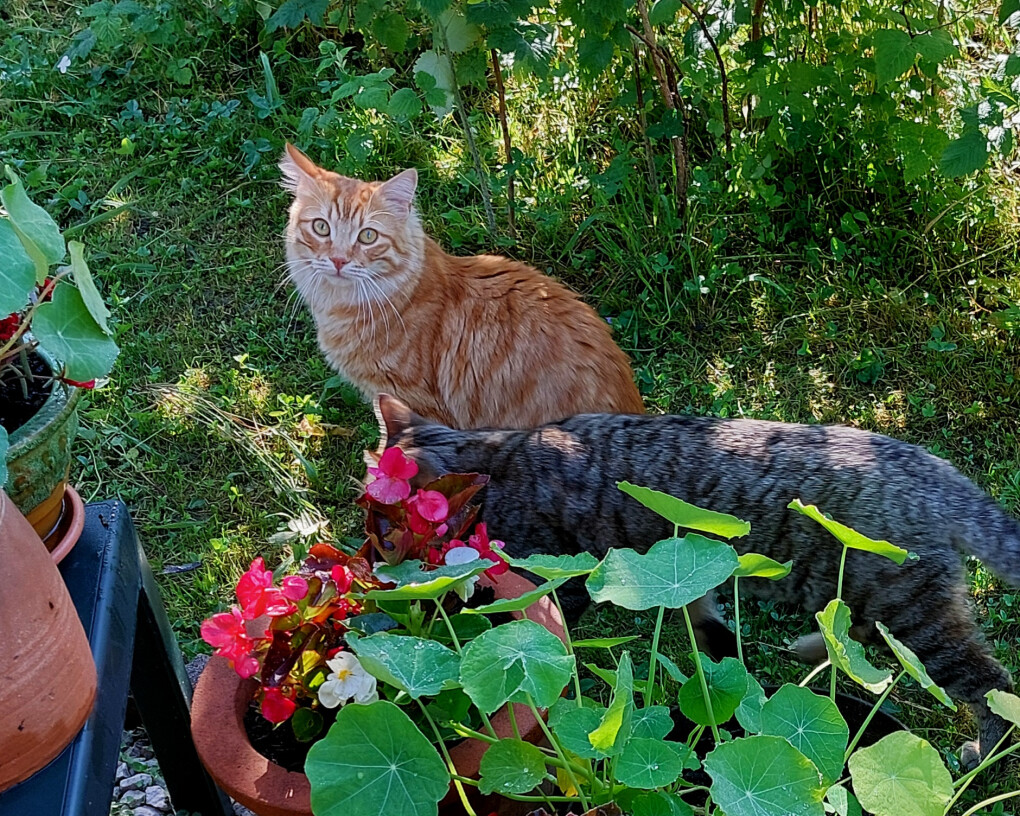 6708079.jpg 6708079.jpg