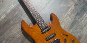 Schecter Van Nuys