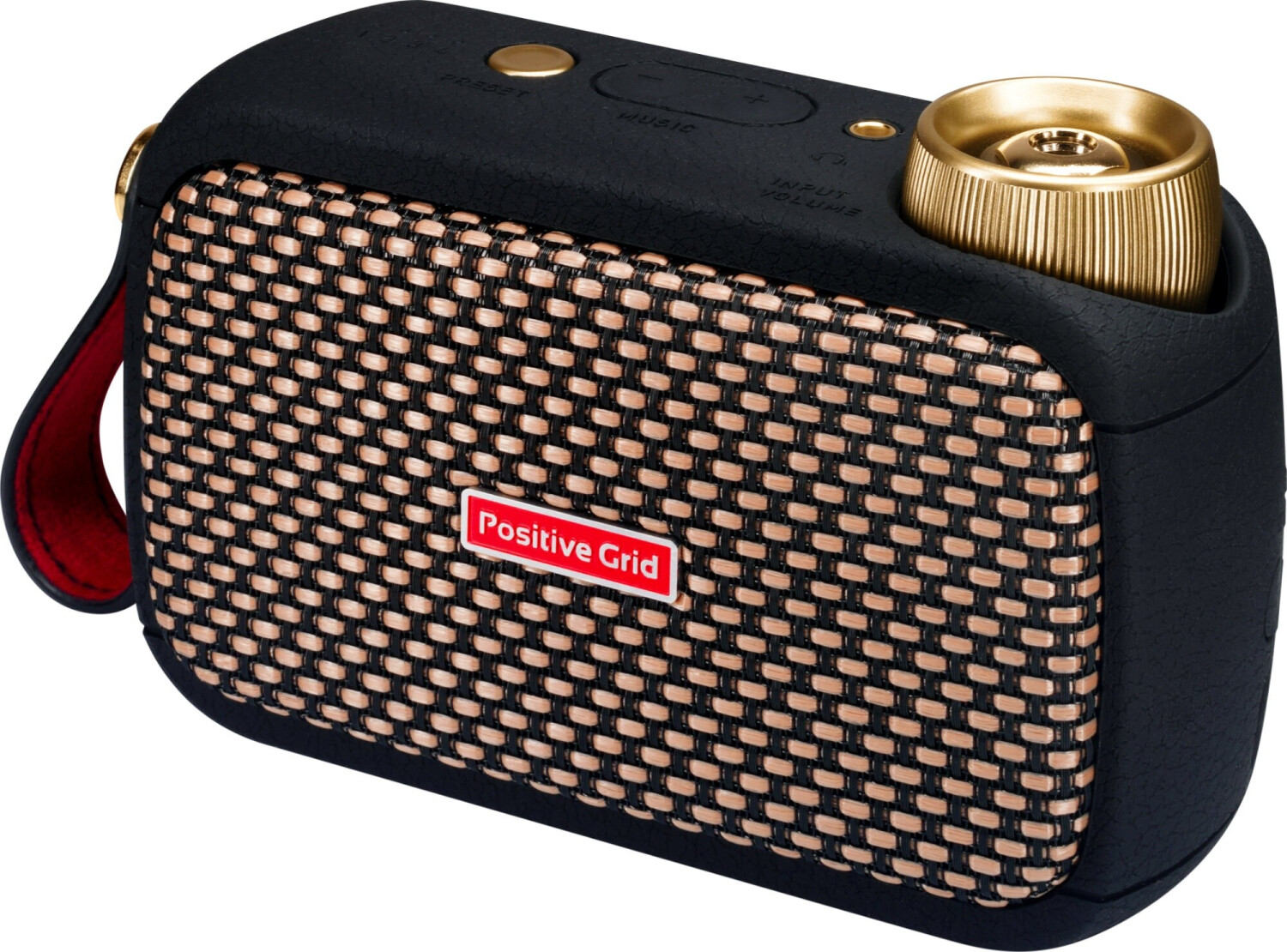 Positive Grid Spark Go PW