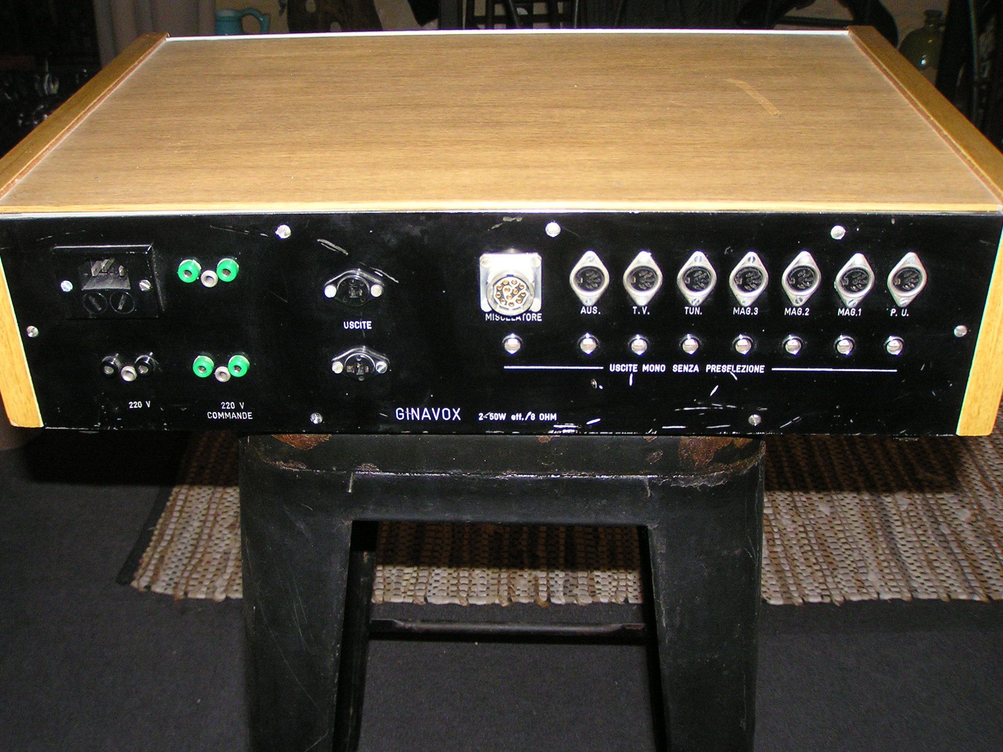 Ginavox2