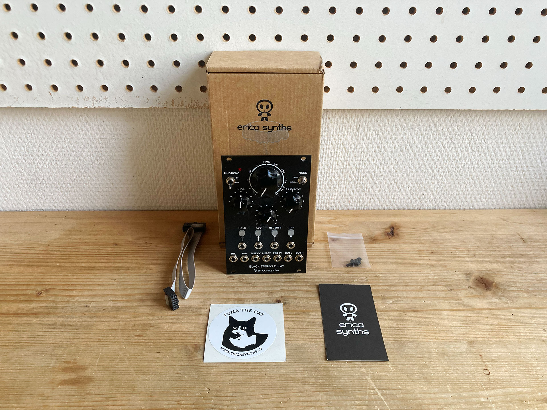 Erica Synths - BLACK STERO DELAY / Looper