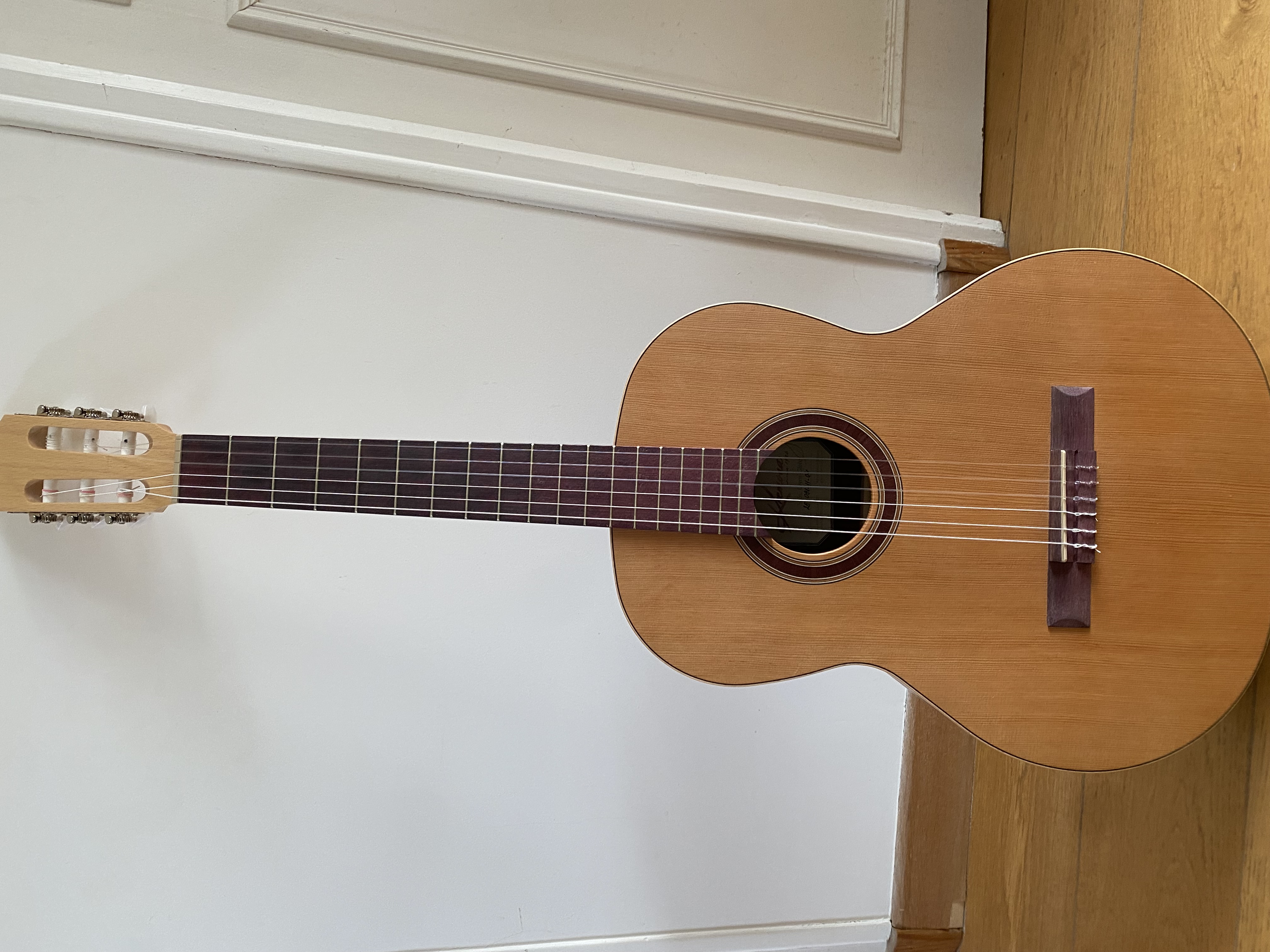 Guitare classique Kremona Sofia s65c Green Globe 