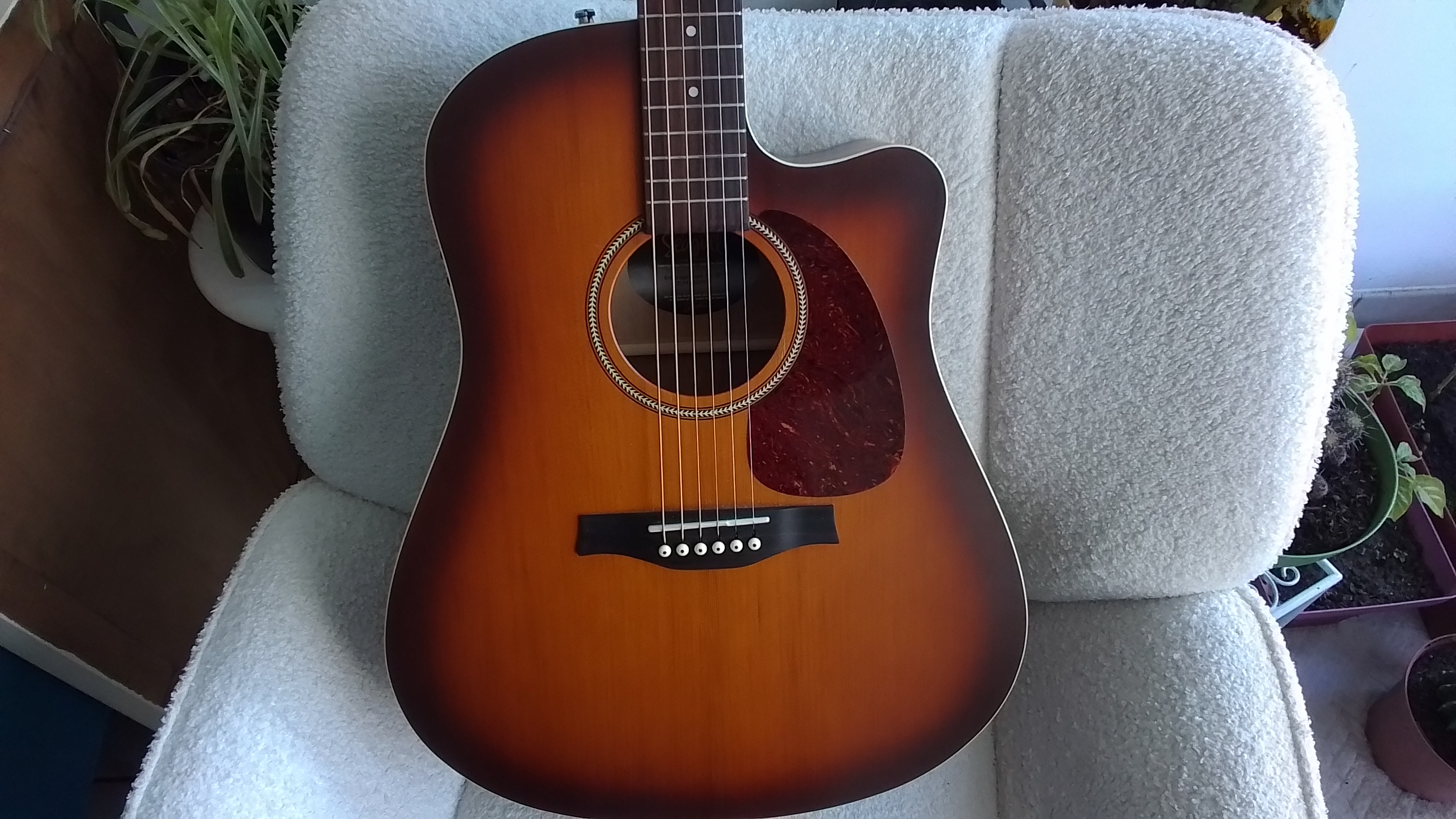 Electro seagull vente échange 