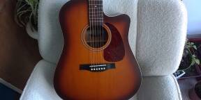 Electro seagull vente échange