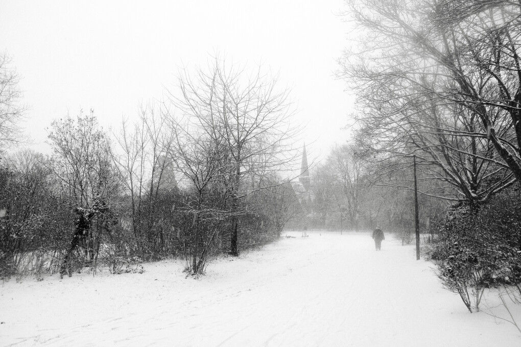 6709978.jpeg 6709978.jpeg