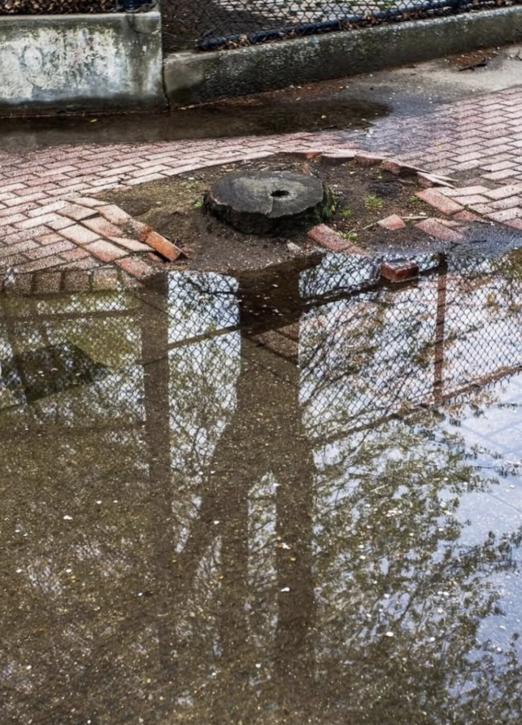 6710308.png 6710308.png