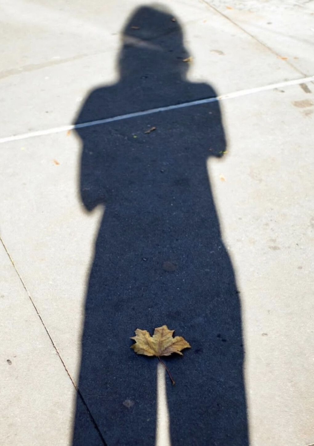 6710309.png 6710309.png