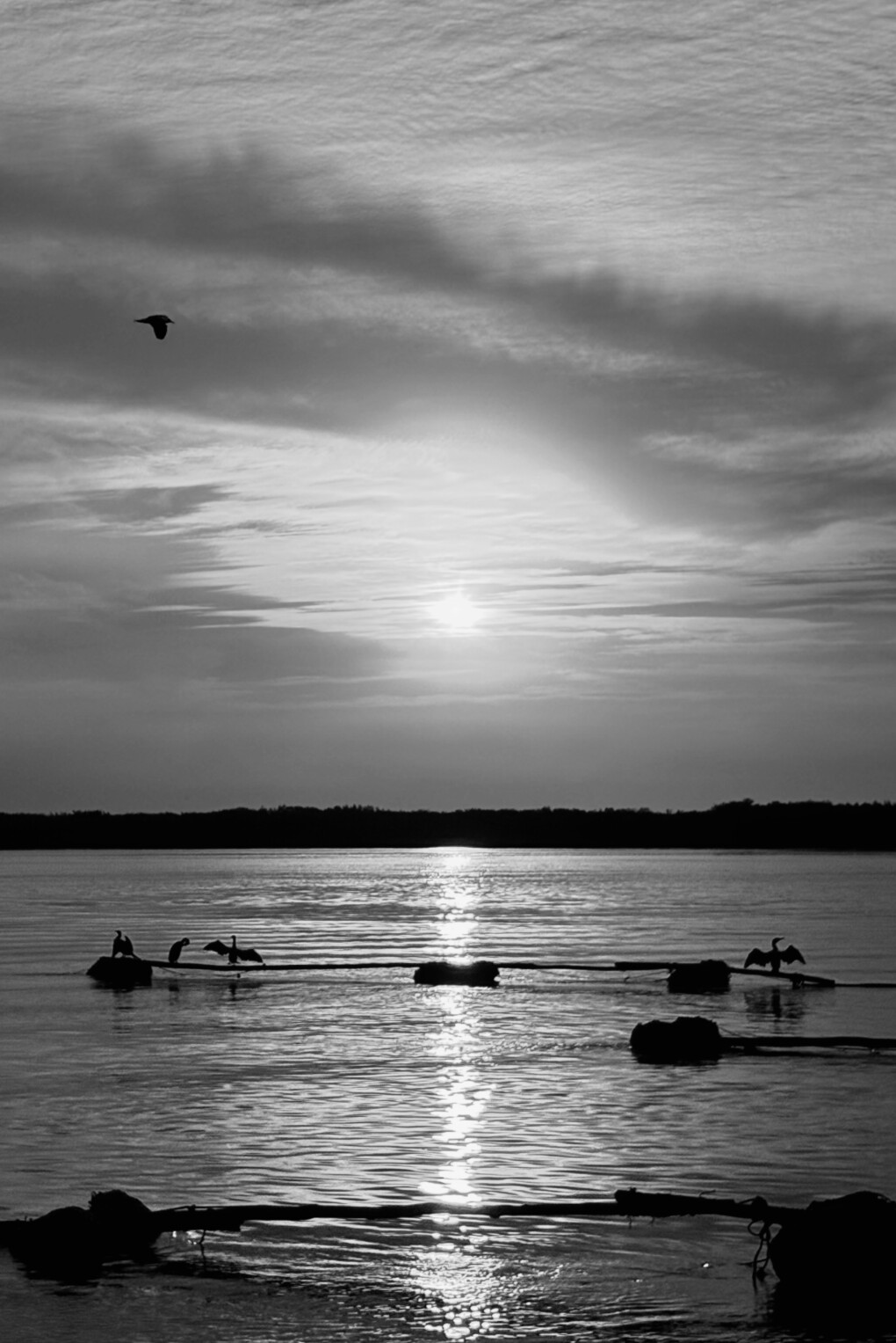 6710387.jpeg 6710387.jpeg