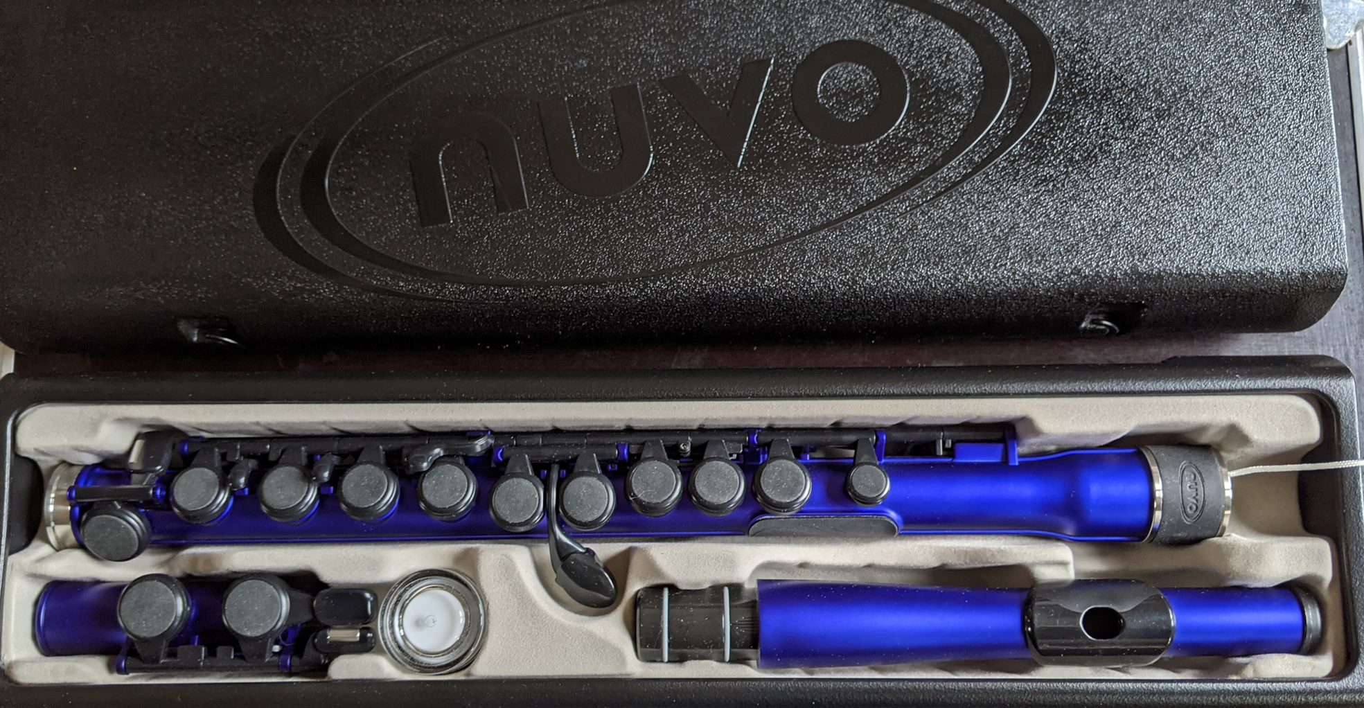 Vends Flûte NUVO bleue 