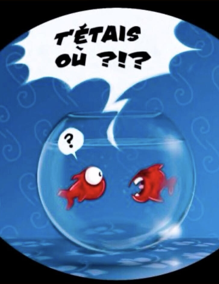 6710777.jpeg 6710777.jpeg