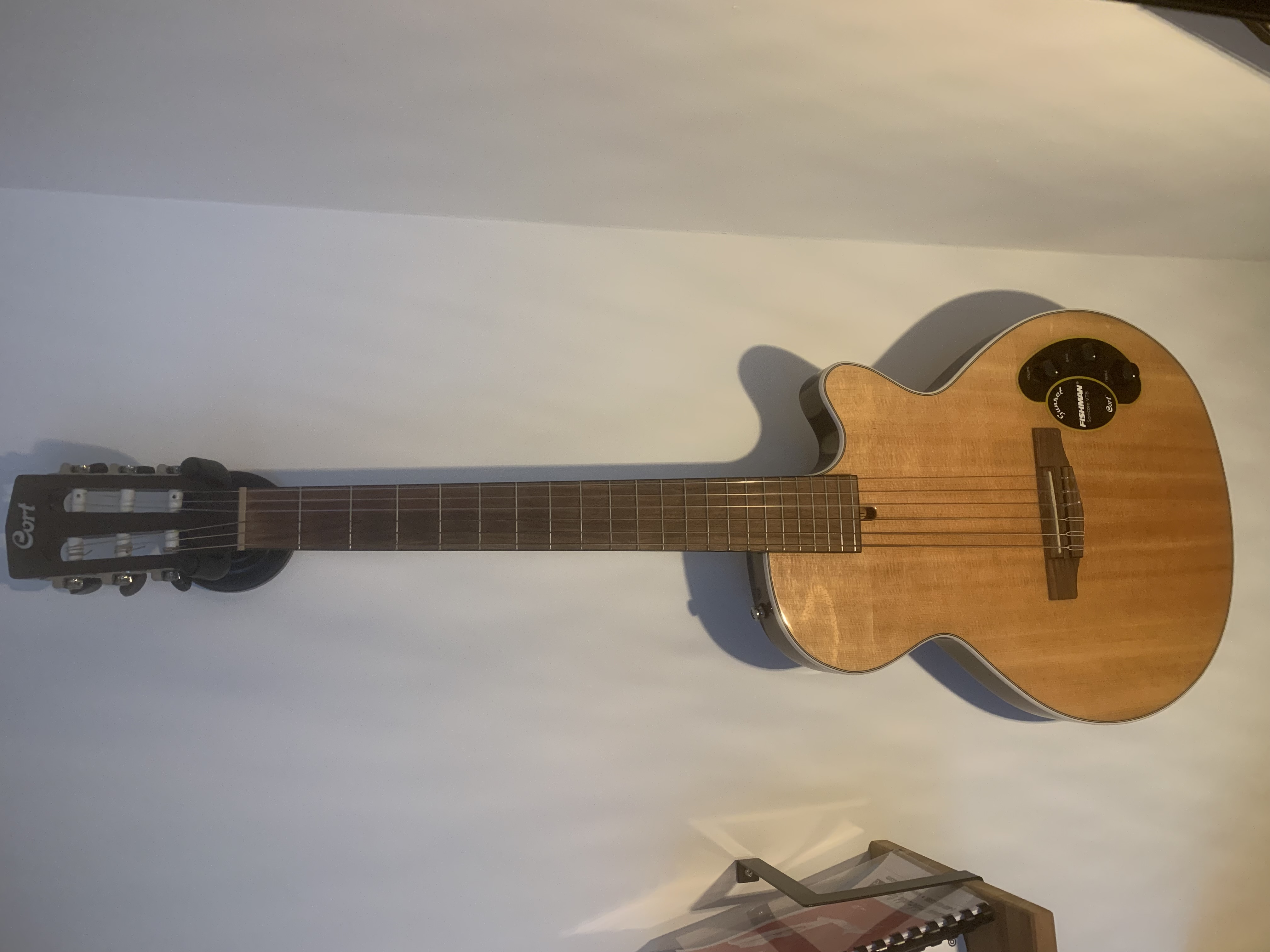 Guitare Cort Nylectric avec étui 