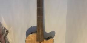 Guitare Cort Nylectric avec étui