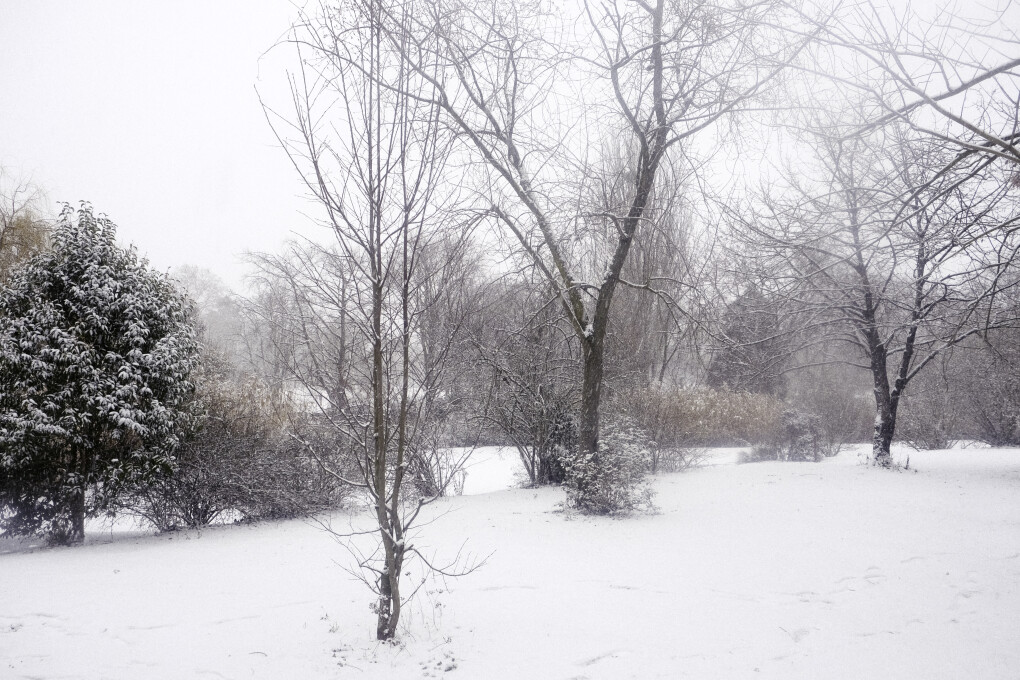 6710811.jpg 6710811.jpg