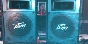 Vends ENCEINTES PASSIVE PEAVEY ES-12