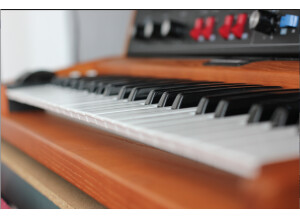 Moog Music Minimoog Voyager Old School (46211)