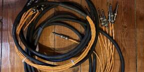 Avid / Digidesign DB25 - TRS Digisnake 8