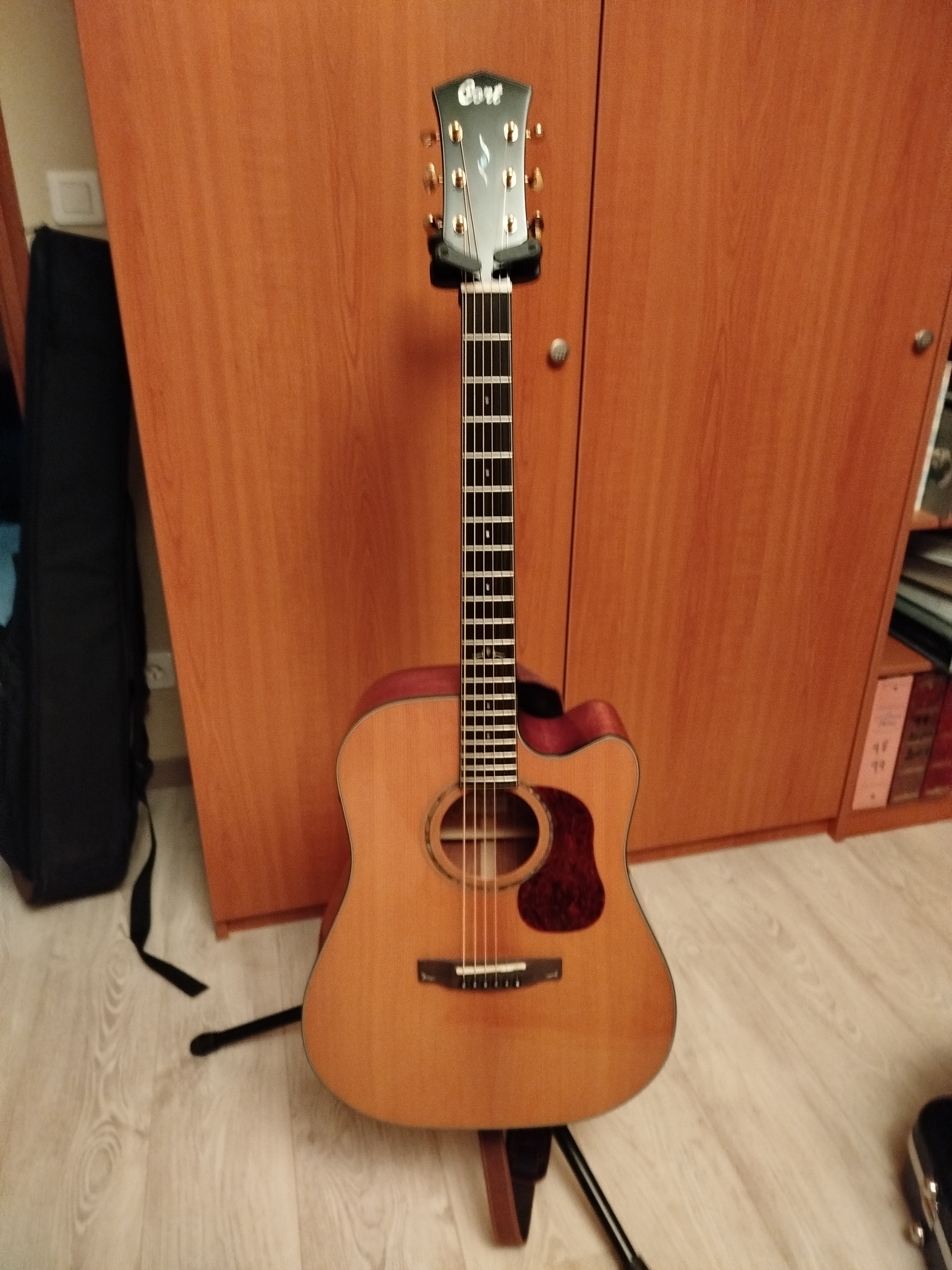 Guitare Cort Gold DC 6