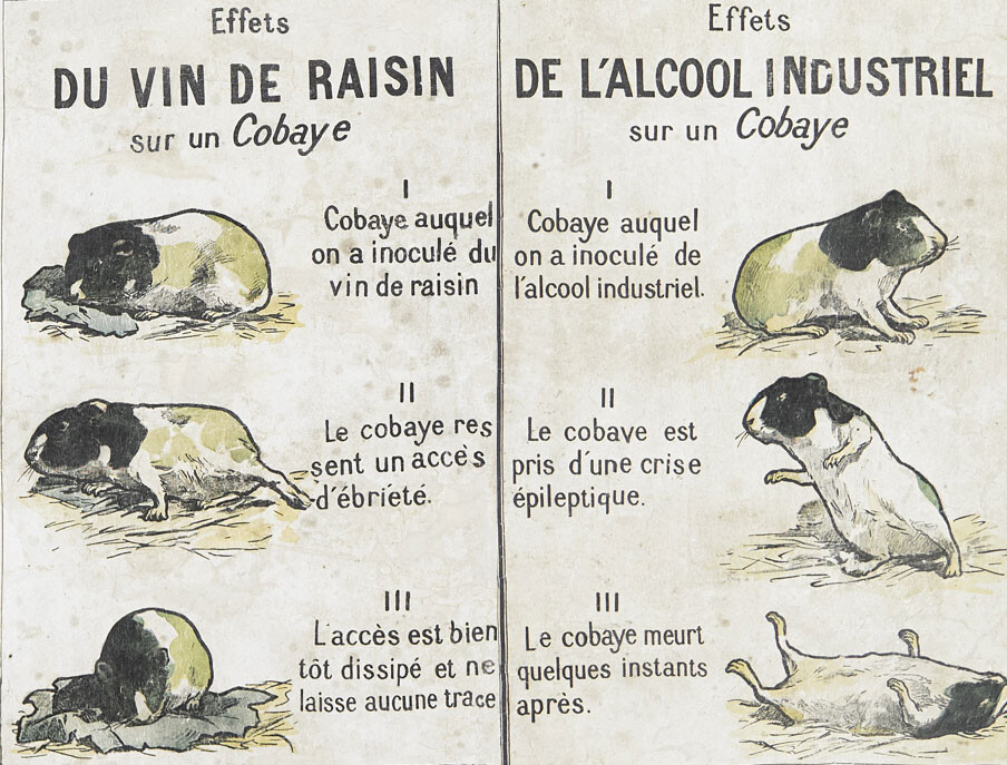 6713442.jpg 6713442.jpg