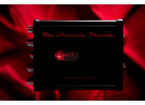Dennis Marshall The Acoustic Preamp DI (59878)