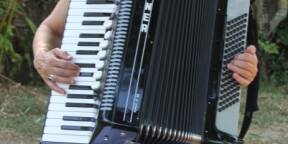 Vends accordéon HOHNER AMICAR III 96