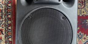 Vends enceinte passive the box PA 108 comme neuve.