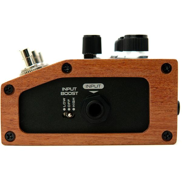 Dumblifier Overdrive SpecialSIDE1