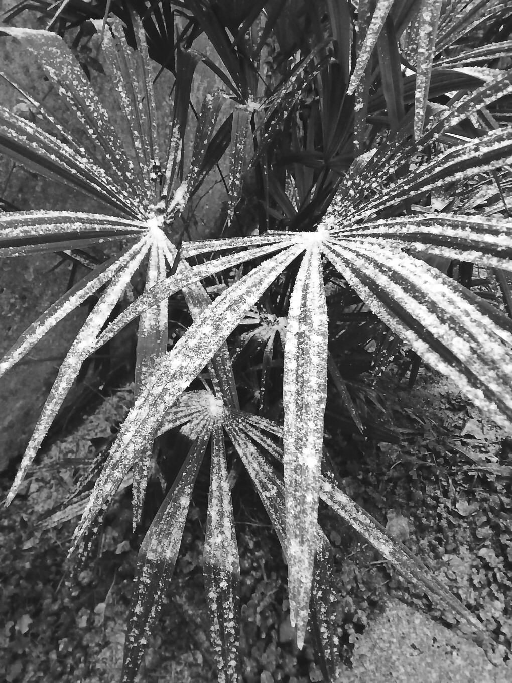 6714302.jpg 6714302.jpg