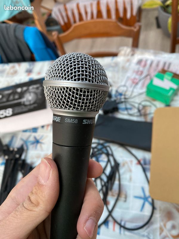 Loopstation RC-505+Micro Shure sm58