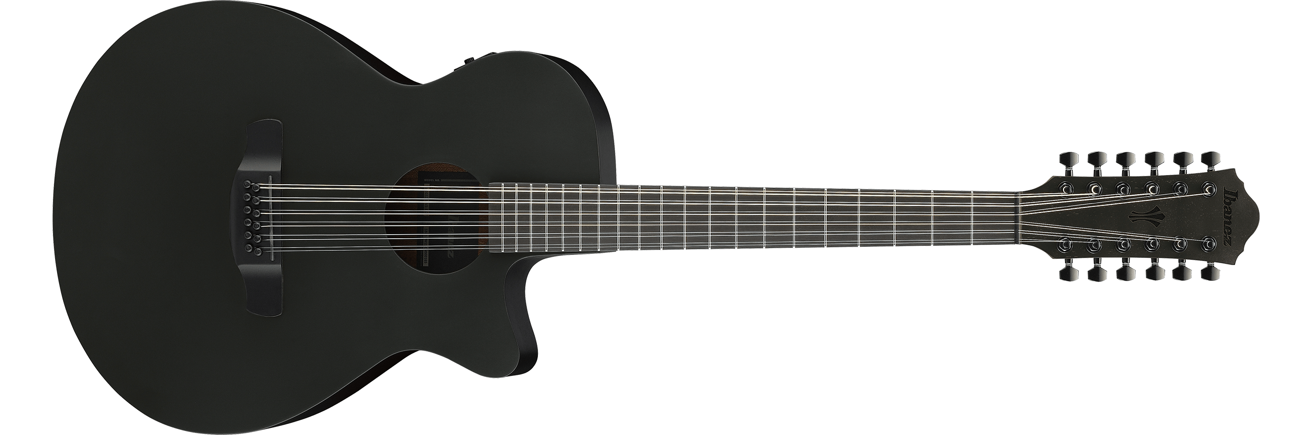 Ibanez AEG1221 : AEG1221