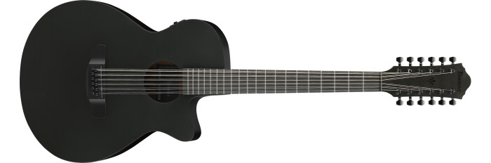 Ibanez AEG1221 : AEG1221 Ibanez AEG1221 : AEG1221