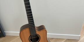 Echange LAG Tramontane THV30DCE Hyvibe contre guitare 12 cordes