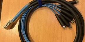 vds cable multipaire "Digisnake" dub-D25 8 x XLRF - 3m60 (12 ft)