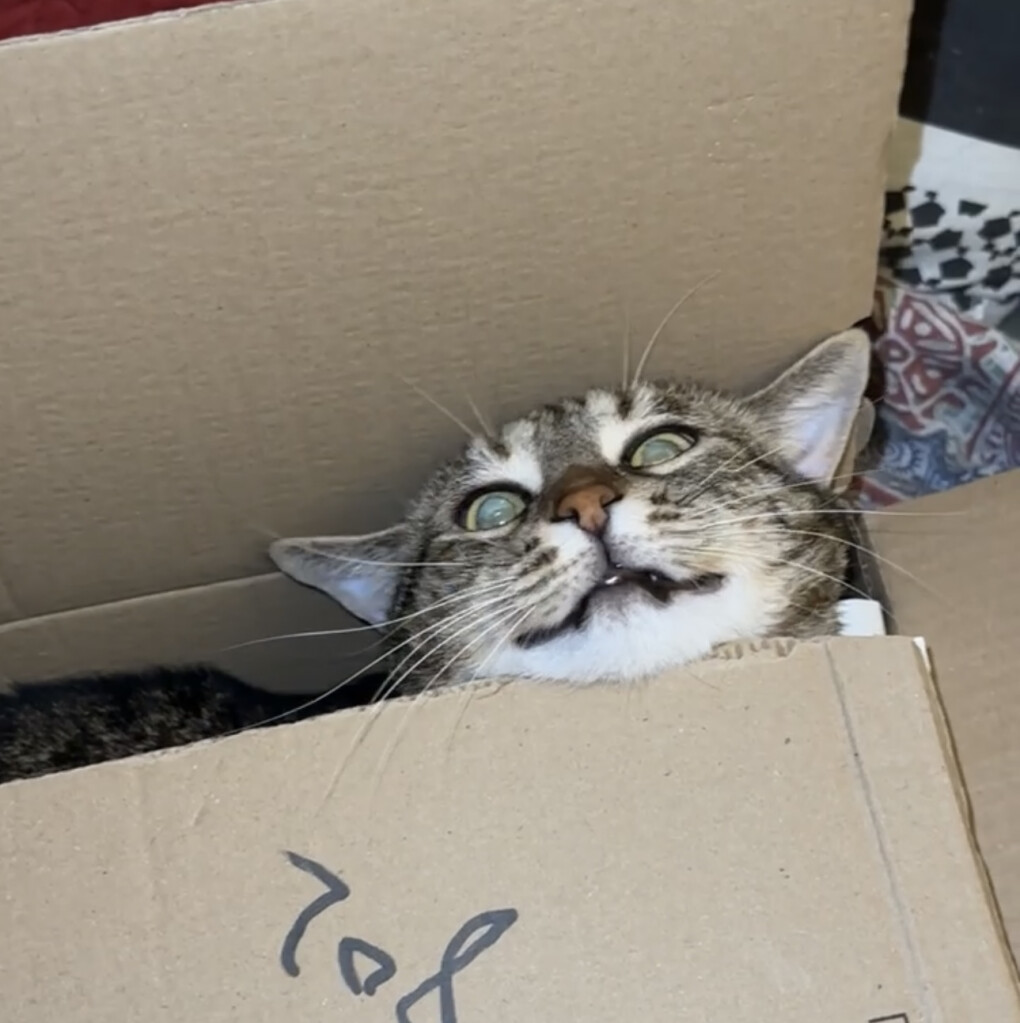 6716679.jpeg 6716679.jpeg