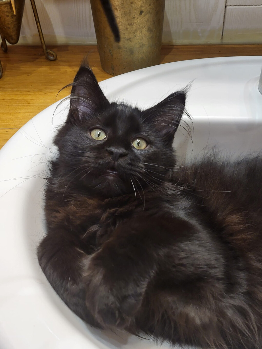 6717590.jpeg 6717590.jpeg