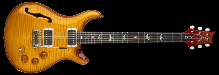 DGT Semi-Hollow4 DGT Semi-Hollow4