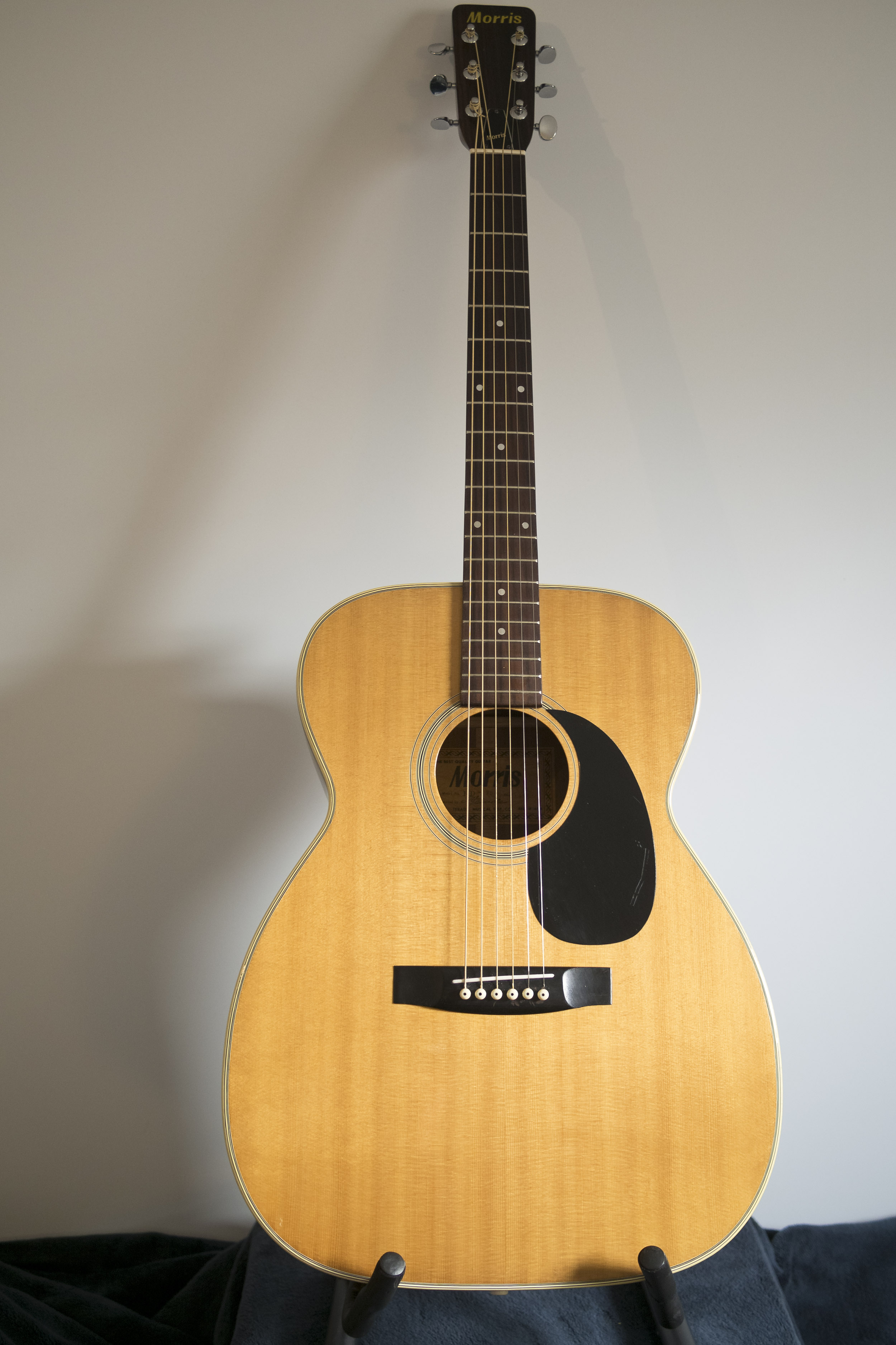 Guitare Acoustique Vintage MORRIS FD-15