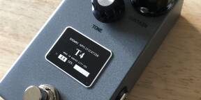 Browne amplification fuzz T4