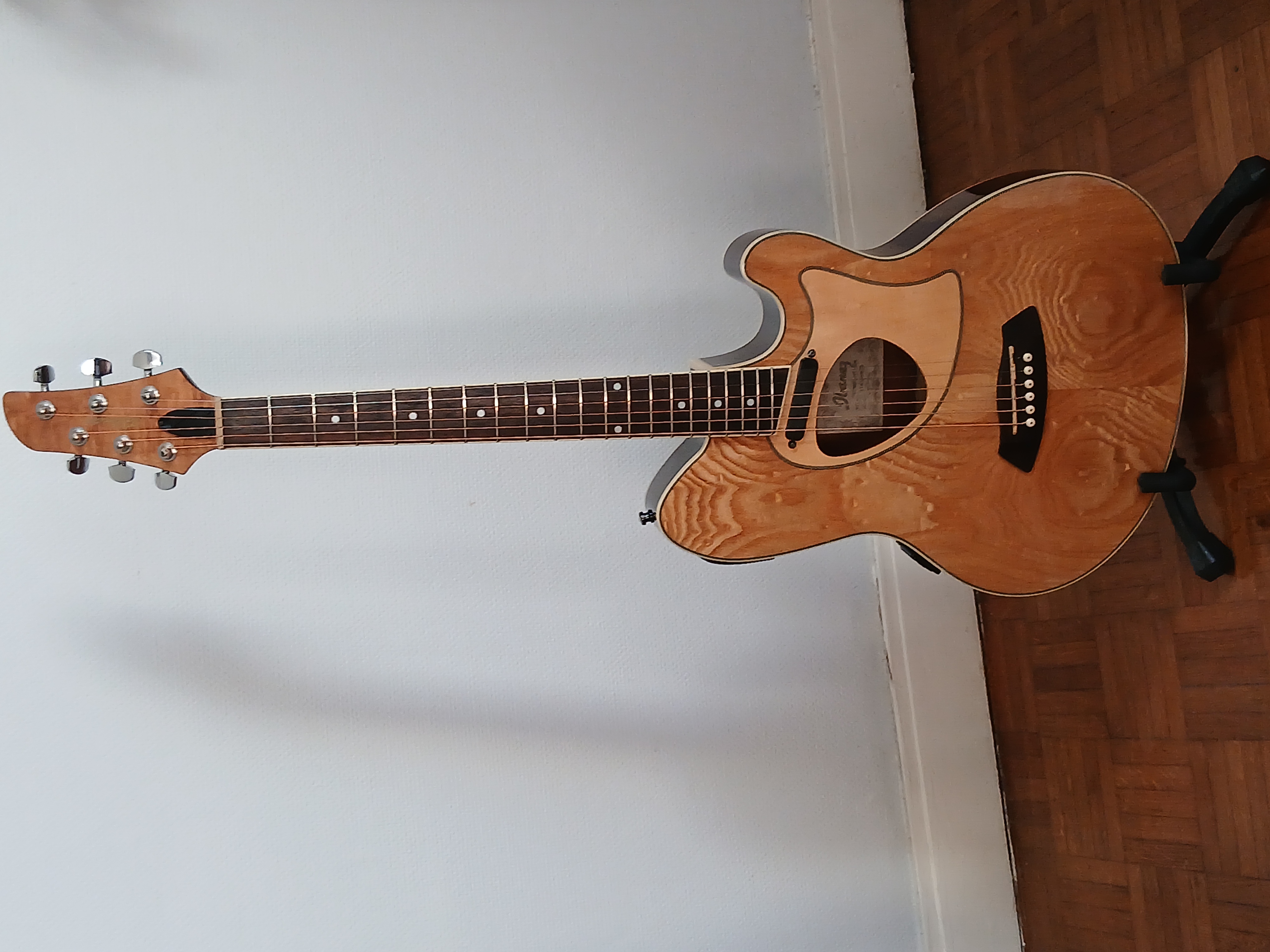 Vends:Guitare Ibanez modèle TCM50