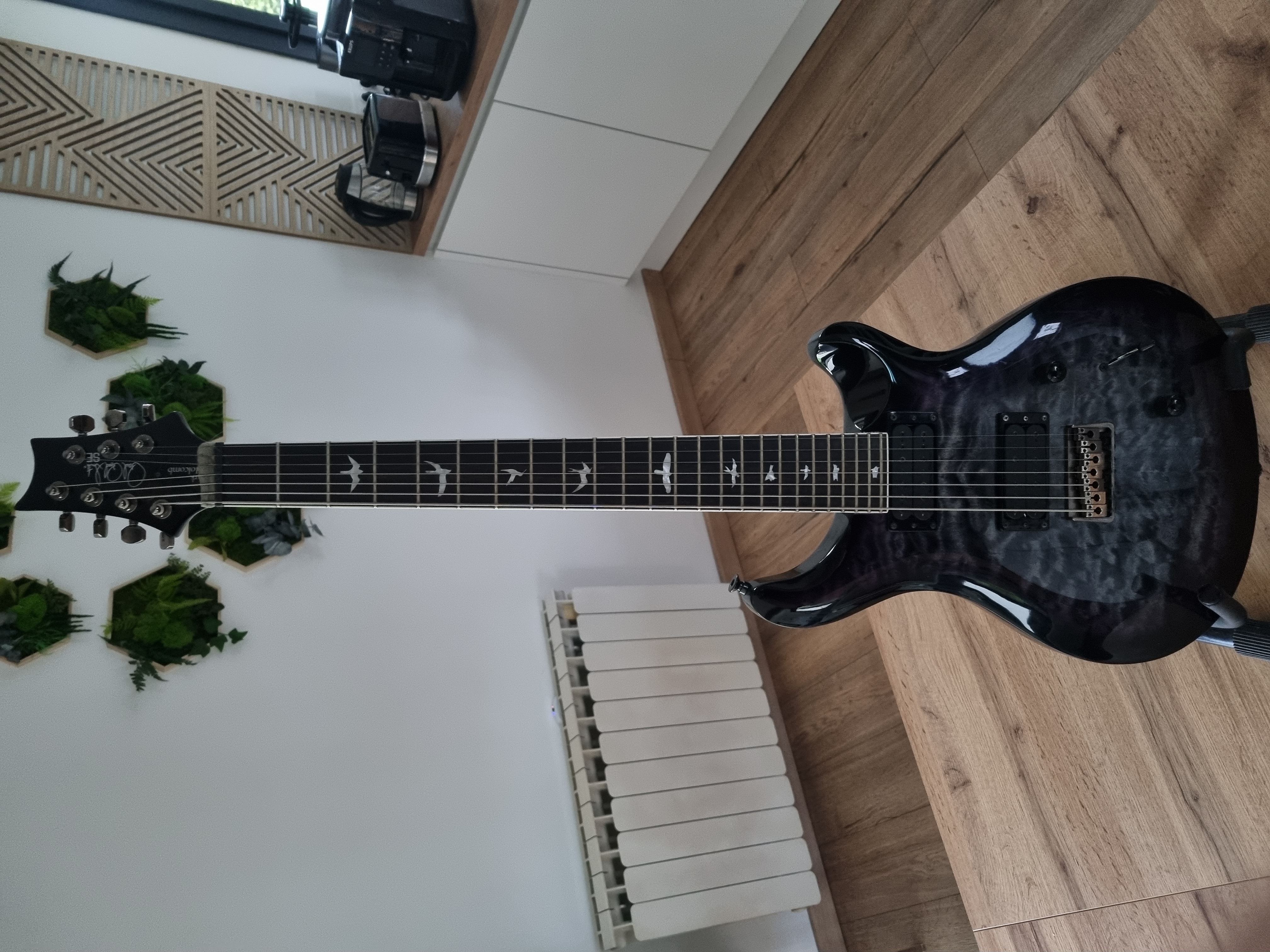 PRS SE Mark Holcomb SVN