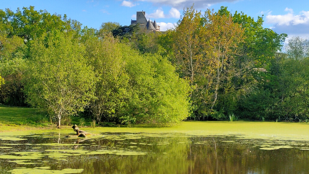 6720379.jpg 6720379.jpg