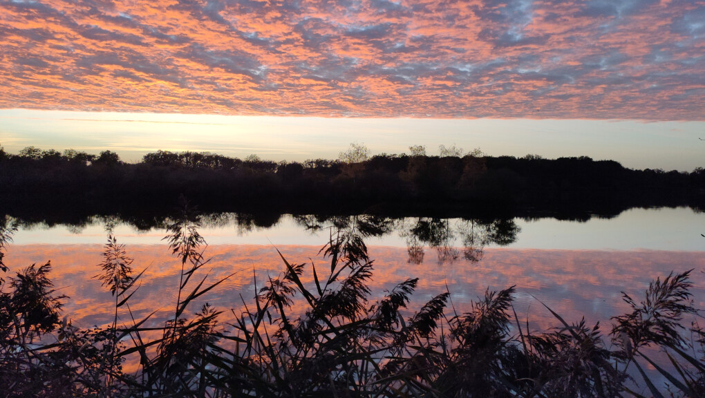 6720383.jpg 6720383.jpg