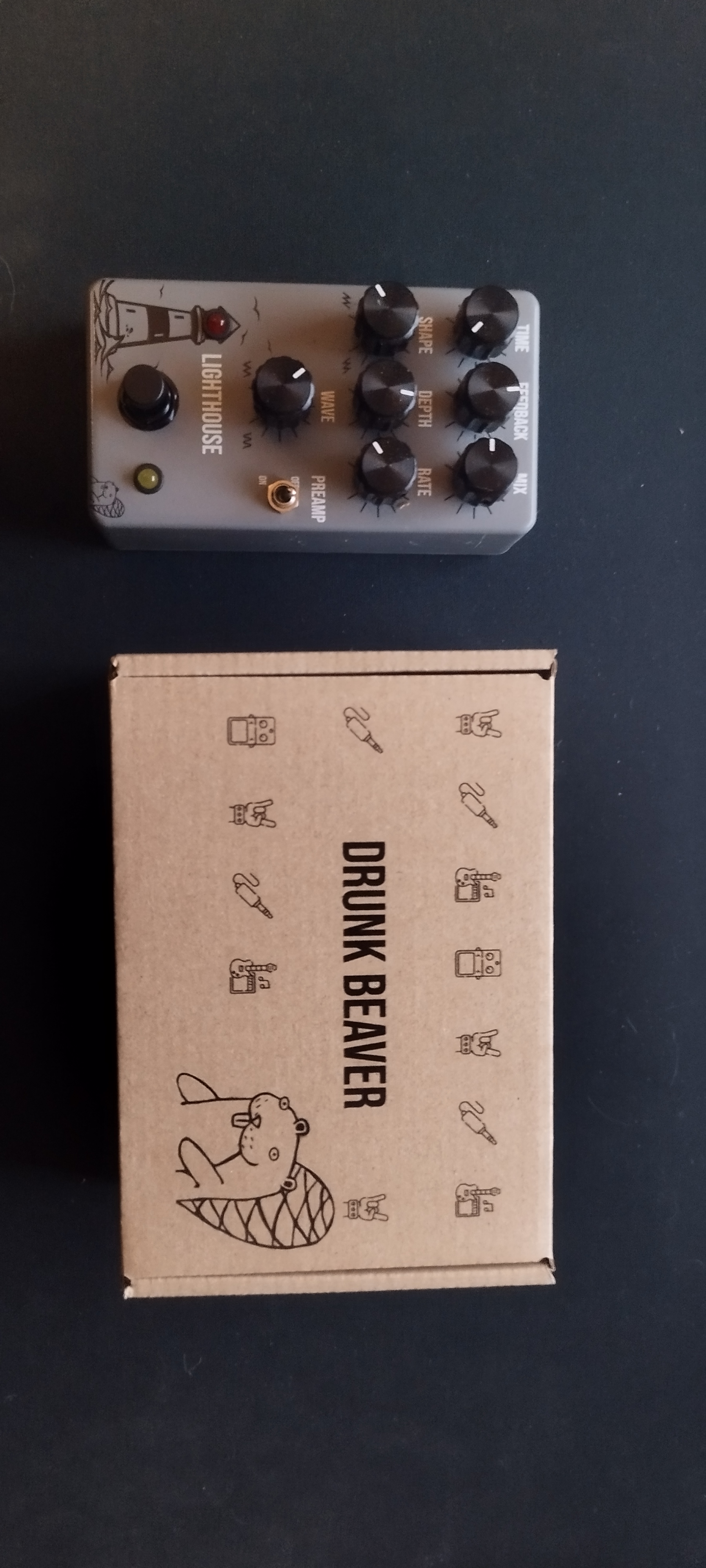 Drunk Beaver Lighthouse