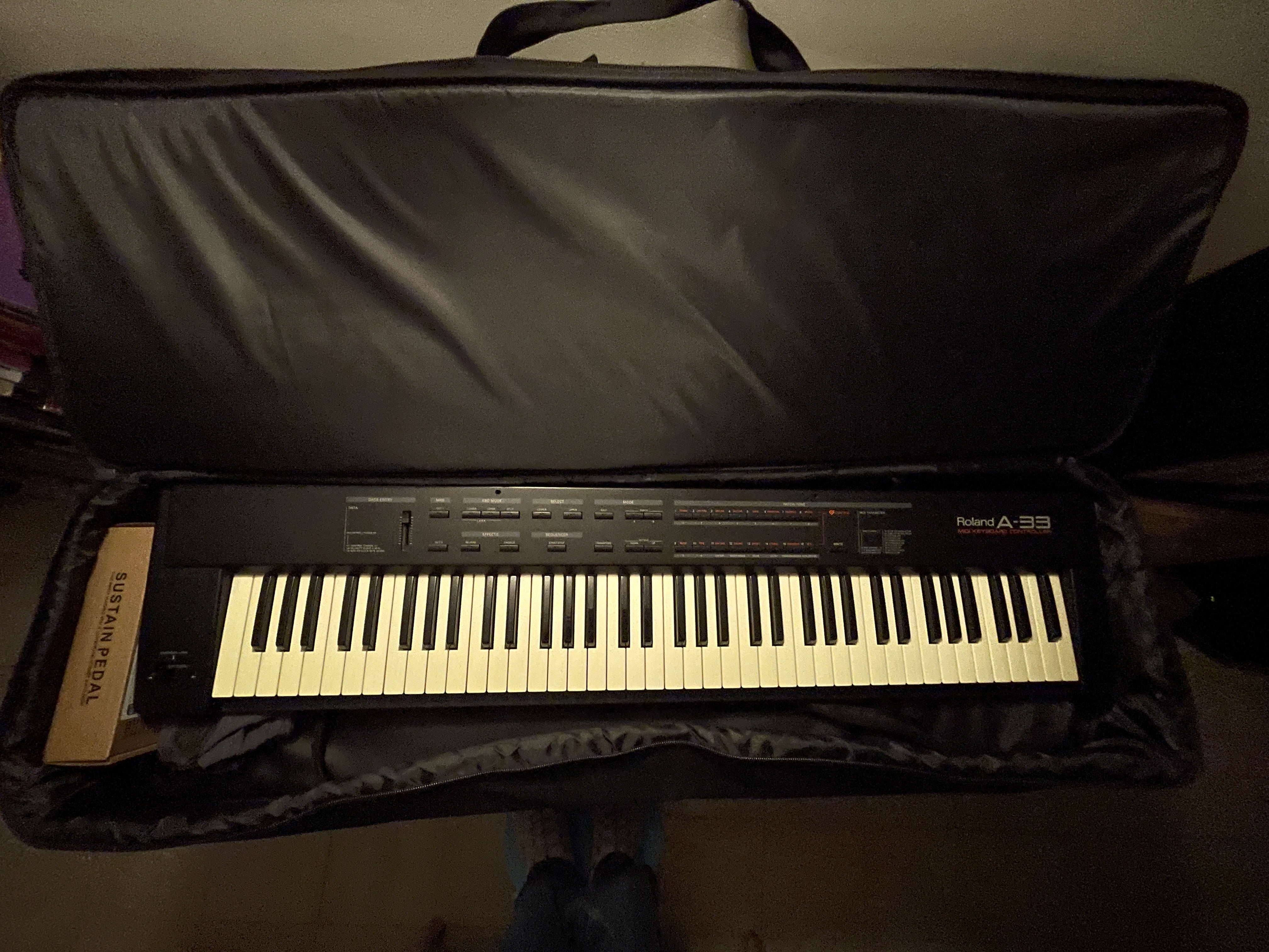 Piano maître Roland A33  76 notes 