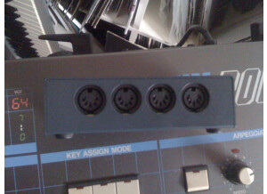 M-Audio Thru 1x4 (60276)