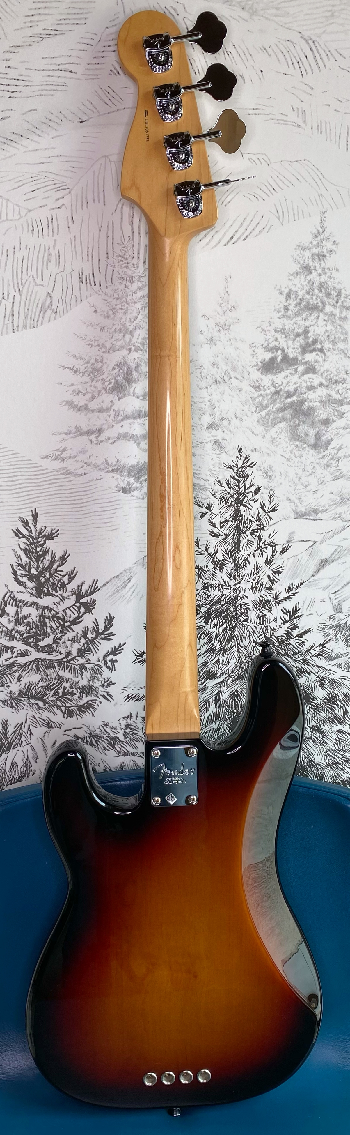 American Professional PB 4
