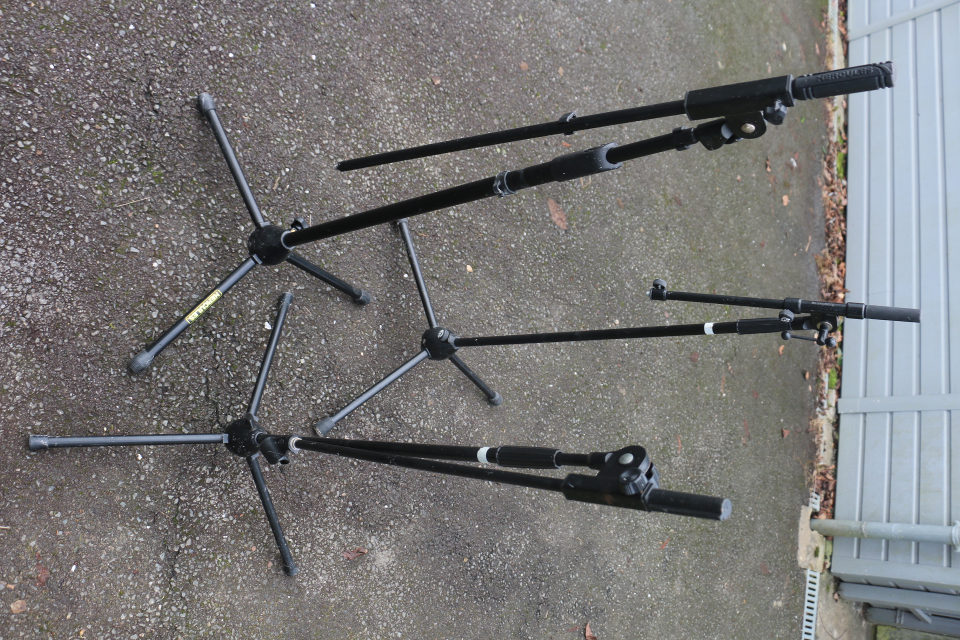 Lot 3 pieds micro (Hercule/Stagg)